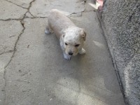 /album/marisa-neves/ferias-agosto-2014-086-jpg/